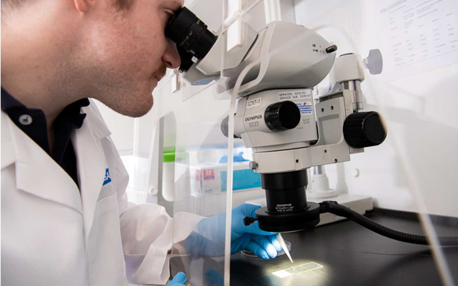 A scientist wearing a white lab coat and blue gloves looks through a microscope, using an instrument to examine a specimen slide under bright light in a laboratory setting. Irwin Services asbestos removal Brisbane project documentation